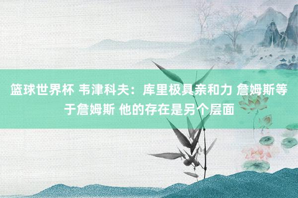 篮球世界杯 韦津科夫：库里极具亲和力 詹姆斯等于詹姆斯 他的存在是另个层面