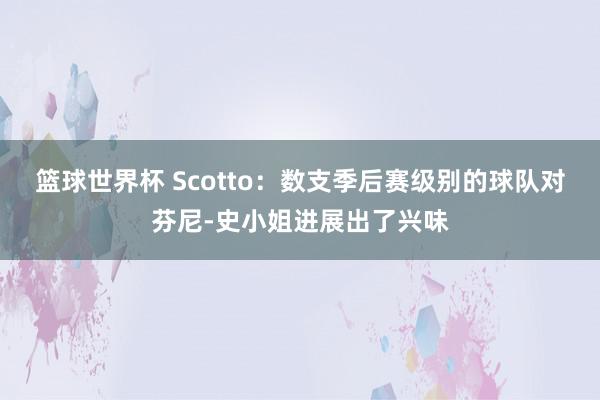 篮球世界杯 Scotto：数支季后赛级别的球队对芬尼-史小姐进展出了兴味