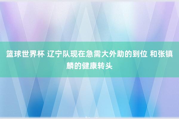 篮球世界杯 辽宁队现在急需大外助的到位 和张镇麟的健康转头