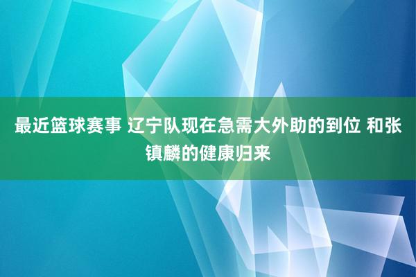 最近篮球赛事 辽宁队现在急需大外助的到位 和张镇麟的健康归来